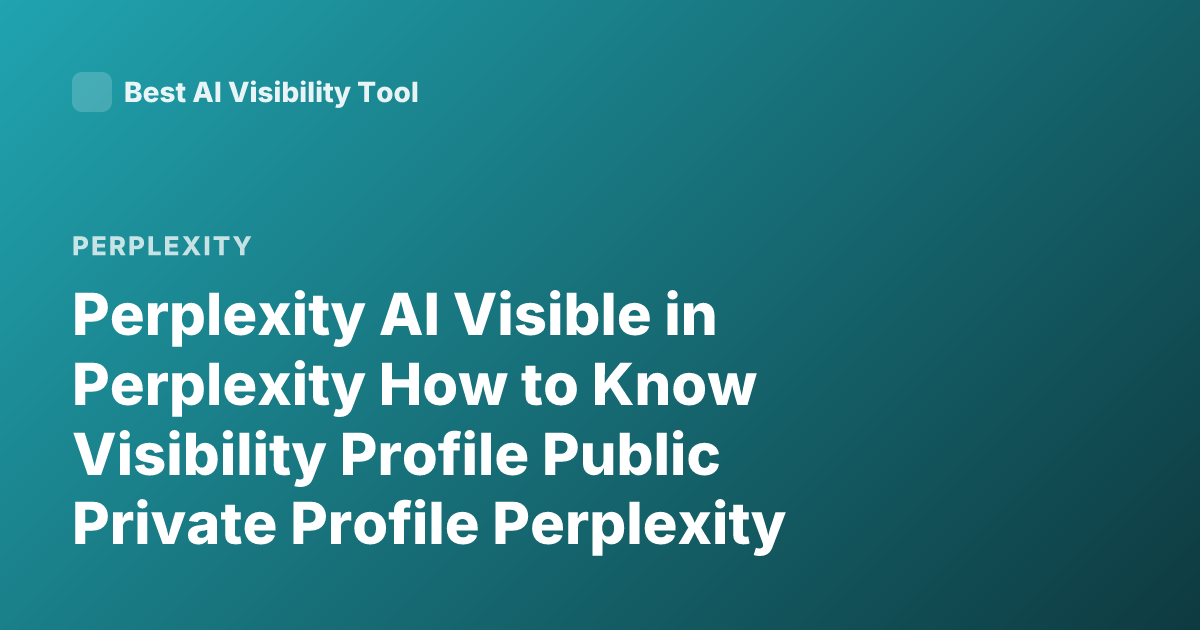 Perplexity AI Visible in Perplexity How to Know Visibility Profile Public Private Profile Perplexity Visibility